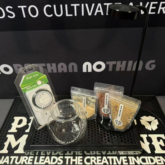 Premium DIY Micro-Landscape Starter Kit【微景观DIY套餐】