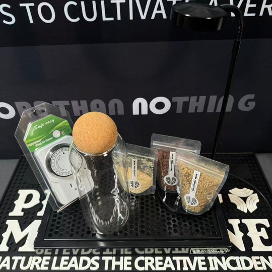Premium DIY Micro-Landscape Starter Kit【微景观DIY套餐】