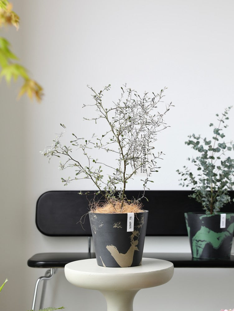 [Simpots] Classic Round Planter 【Limited Fire-fox Bicolor】