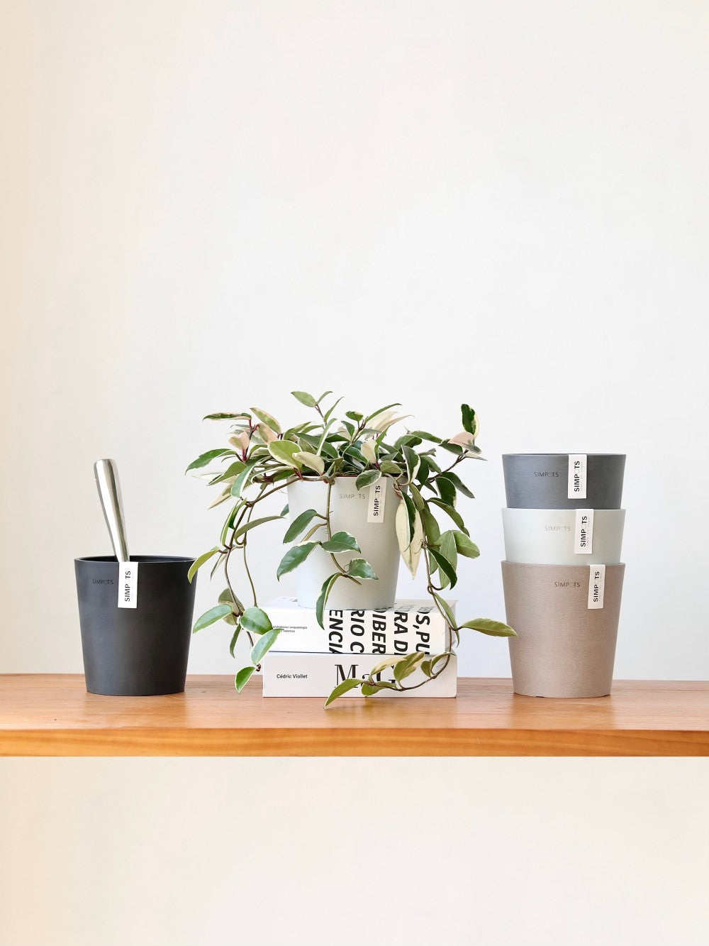 [Simpots] Cola Cup Series Planter