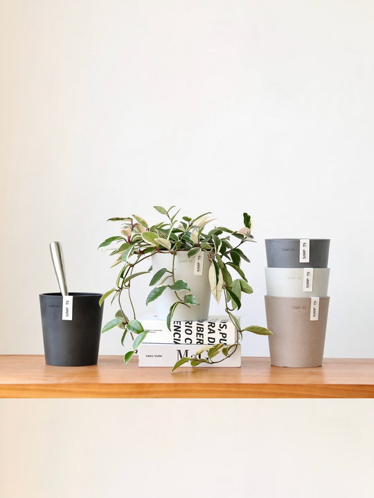 [Simpots] Cola Cup Series Planter