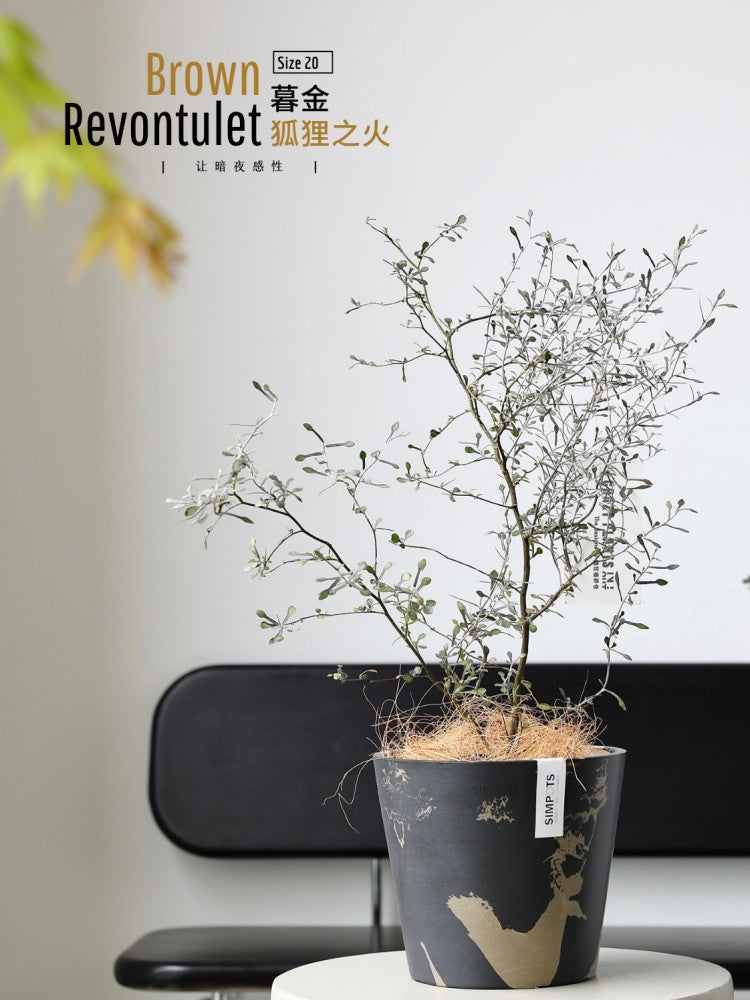 [Simpots] Classic Round Planter 【Limited Fire-fox Bicolor】