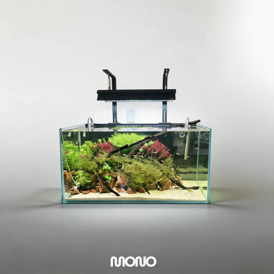 [MONO] Planted Aquarium '生机’ 【Limited】（Toronto Local Only）