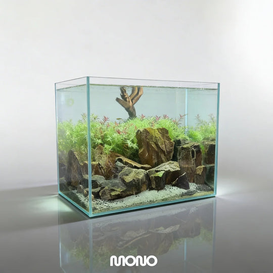 [MONO] Planted Aquarium ’敦煌‘ 【Limited】（Toronto Local Only）
