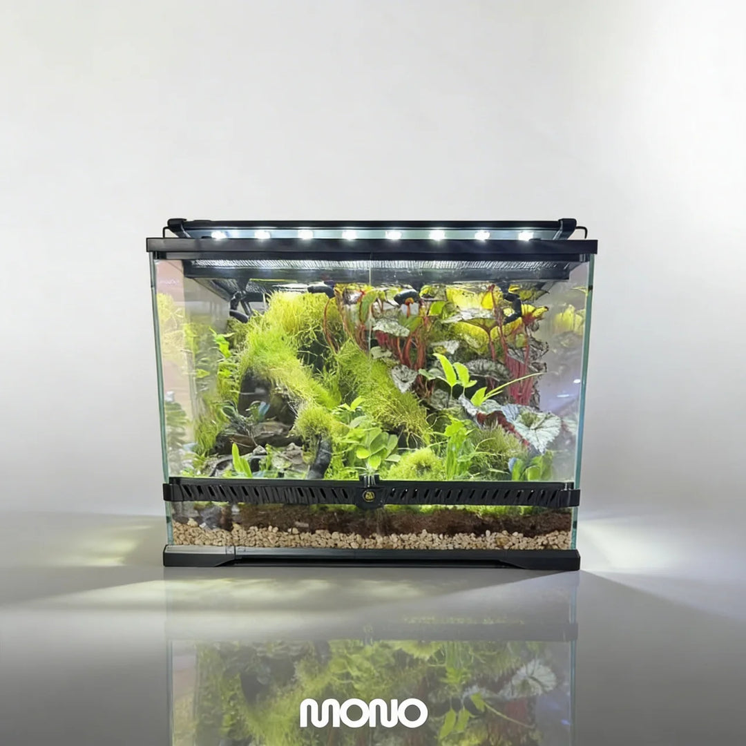 [Mius] Rainforest Terrarium Complete Equipment Set（Toronto Local Only）