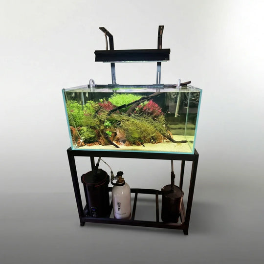 [MONO] Planted Aquarium '生机’ 【Limited】（Toronto Local Only）