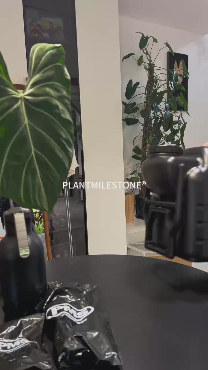 PMS Wheeled Electric Sprayer