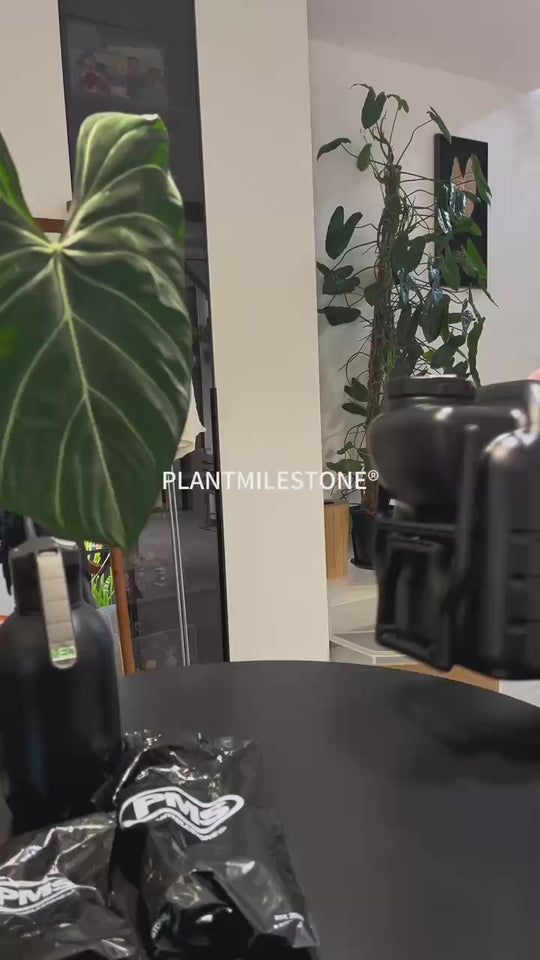 PMS Wheeled Electric Sprayer
